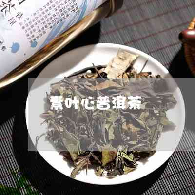 素沁普洱茶