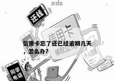 交通信用卡忘记还款5天逾期了怎么办