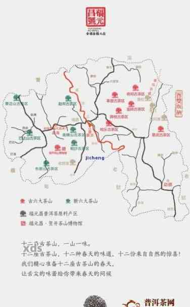 云南西双版纳普洱茶产地：地理环境、茶叶品种、生产工艺及购买指南