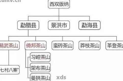 云南西双版纳普洱茶产地：地理环境、茶叶品种、生产工艺及购买指南