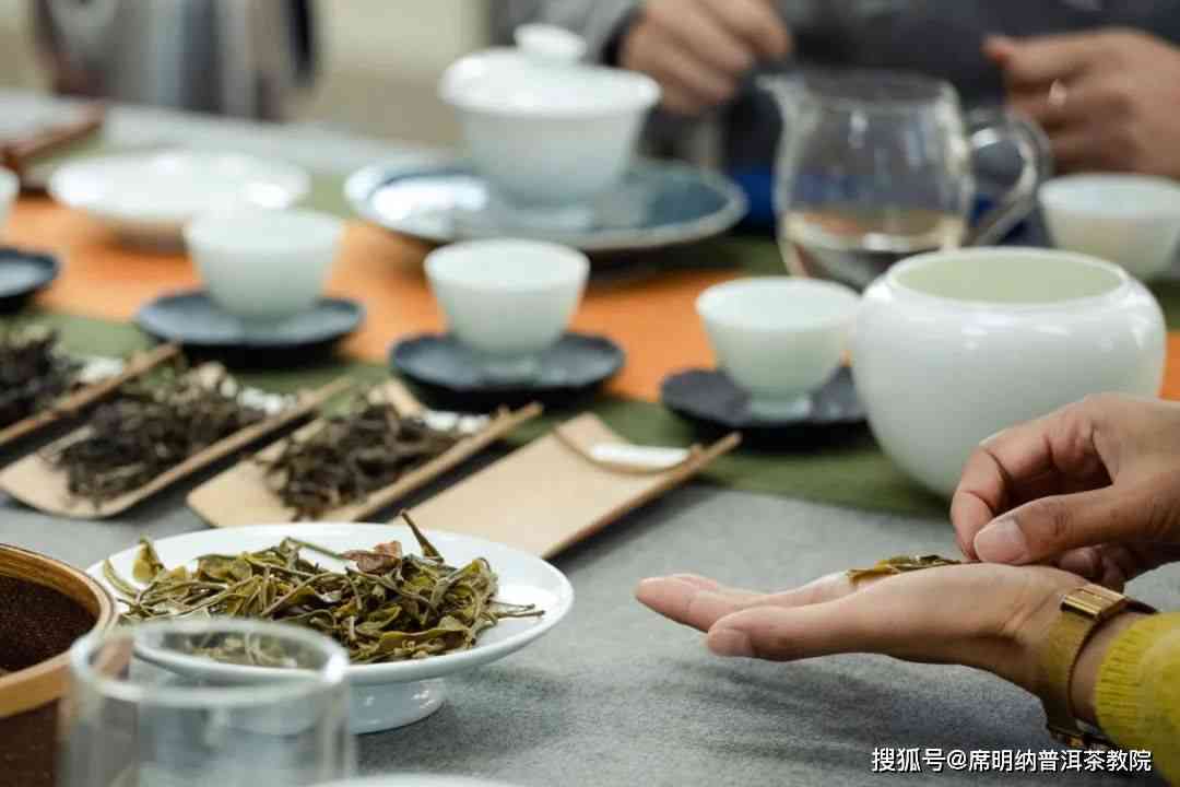 望云普洱茶：品种、产地、制作工艺、功效与品鉴全解析