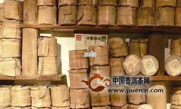 云南普洱茶与广东普洱茶：仓环境对比及其对茶叶品质的影响