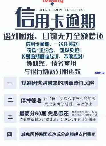 母亲信用卡逾期问题解决指南：如何应对信用危机并防止类似情况再次发生