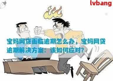 菏泽宝妈面对网贷逾期困境：如何解决还款难题？