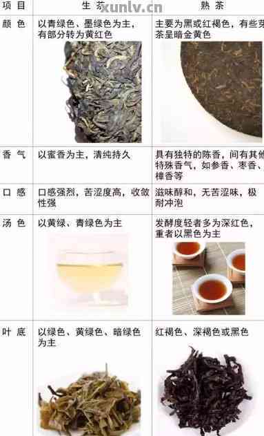 普洱茶：生茶与熟茶的全方位对比，让你轻松辨识与品鉴！