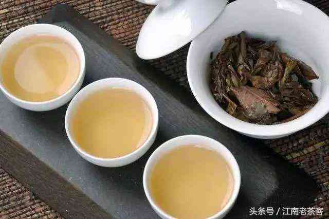 福鼎白茶与普洱茶黑茶前景