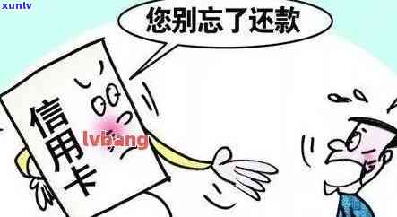 逾期未还款的信用卡问题解决指南