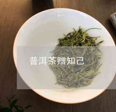 赠知己普洱茶