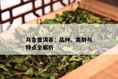 乌金普洱茶：一款具有独特魅力与健益处的茶叶品种