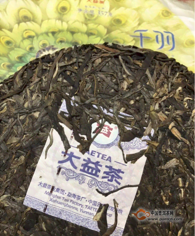 启示录普洱茶