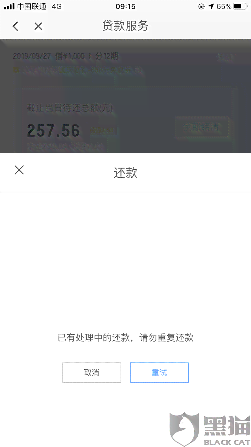 只有滴滴还款还不进去吗