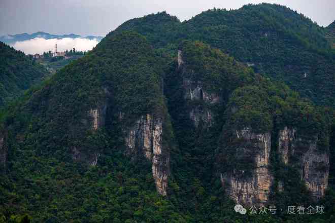 李定国勐腊：探索神秘的傣族风情与自然奇观