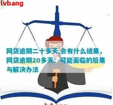 逾期220天的网袋问题：解决办法和资讯汇总