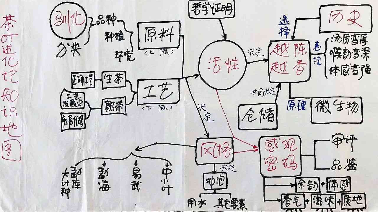 云南普洱茶：品鉴与解说的深度剖析