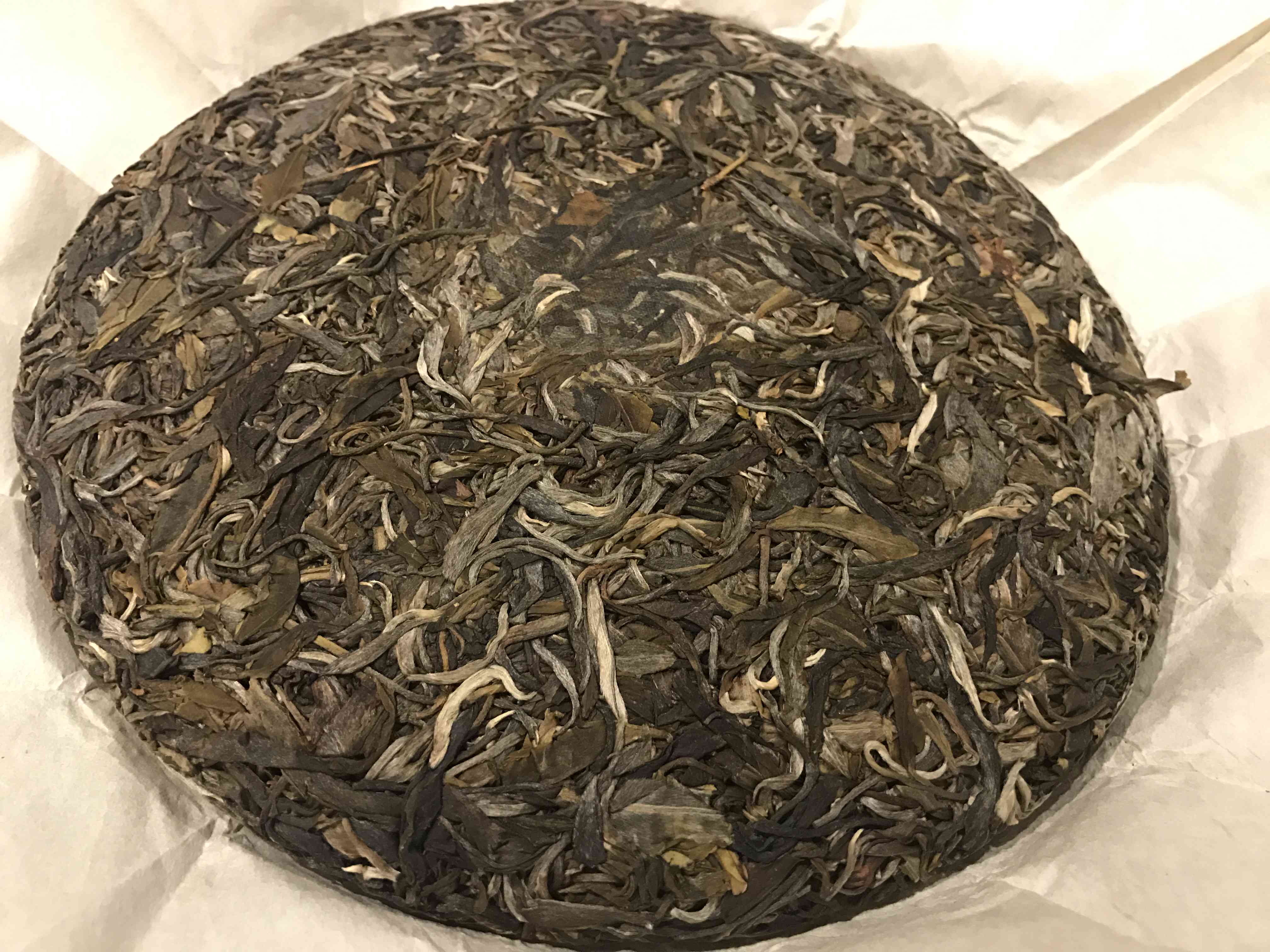 云南普洱茶：品鉴与解说的深度剖析