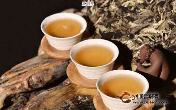 普洱茶的全面解析：从种植、制作到品鉴，了解普洱茶的内涵与魅力