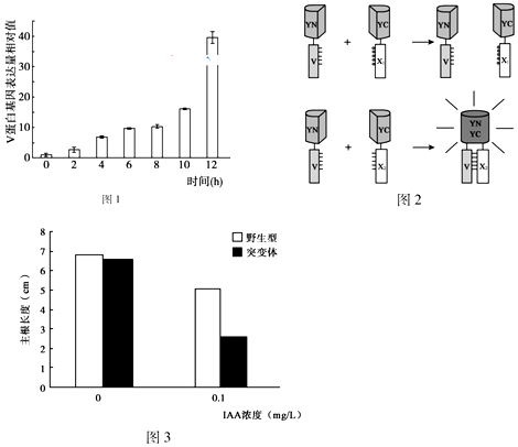 普洱茶的仓至关重要：探讨科学体系下的仓机理、各地特点及方法