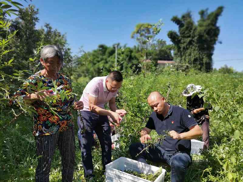 金泸州：关于近期活动的重要通知