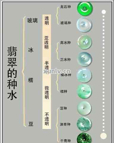 探究翡翠水头的奥秘：一分、三分、十分水有何差别？