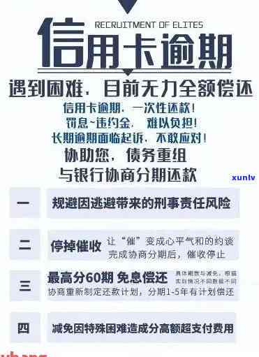 信用卡还款逾期：可能的利率与罚息详细解析