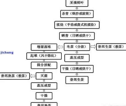 什么是普洱茶的发酵：工艺、度、期、原理与意义