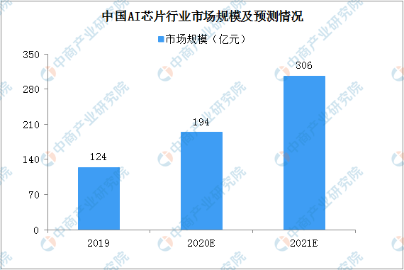 红皮碧玉翡翠：评估收藏价值与投资前景的深度剖析