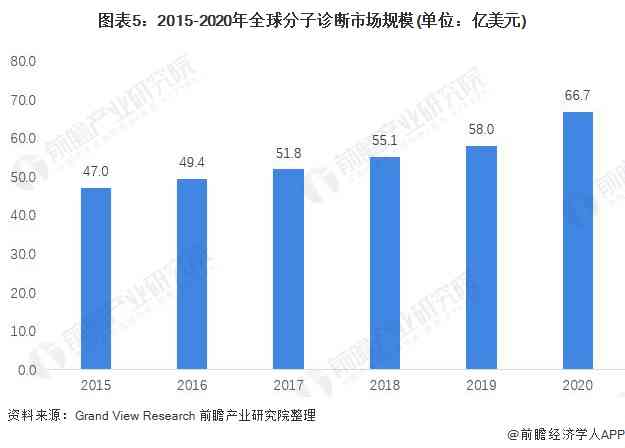 新 大福普洱茶业的领导者：老板的成功秘诀与行业趋势观察