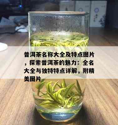 普洱茶与绿茶：属于同一种茶叶吗？