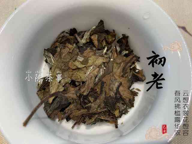 紫砂茶饼存罐：普洱茶的容器还是普通存罐？