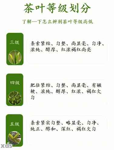 普洱茶叶等级划分标准：最新、表、是什么？