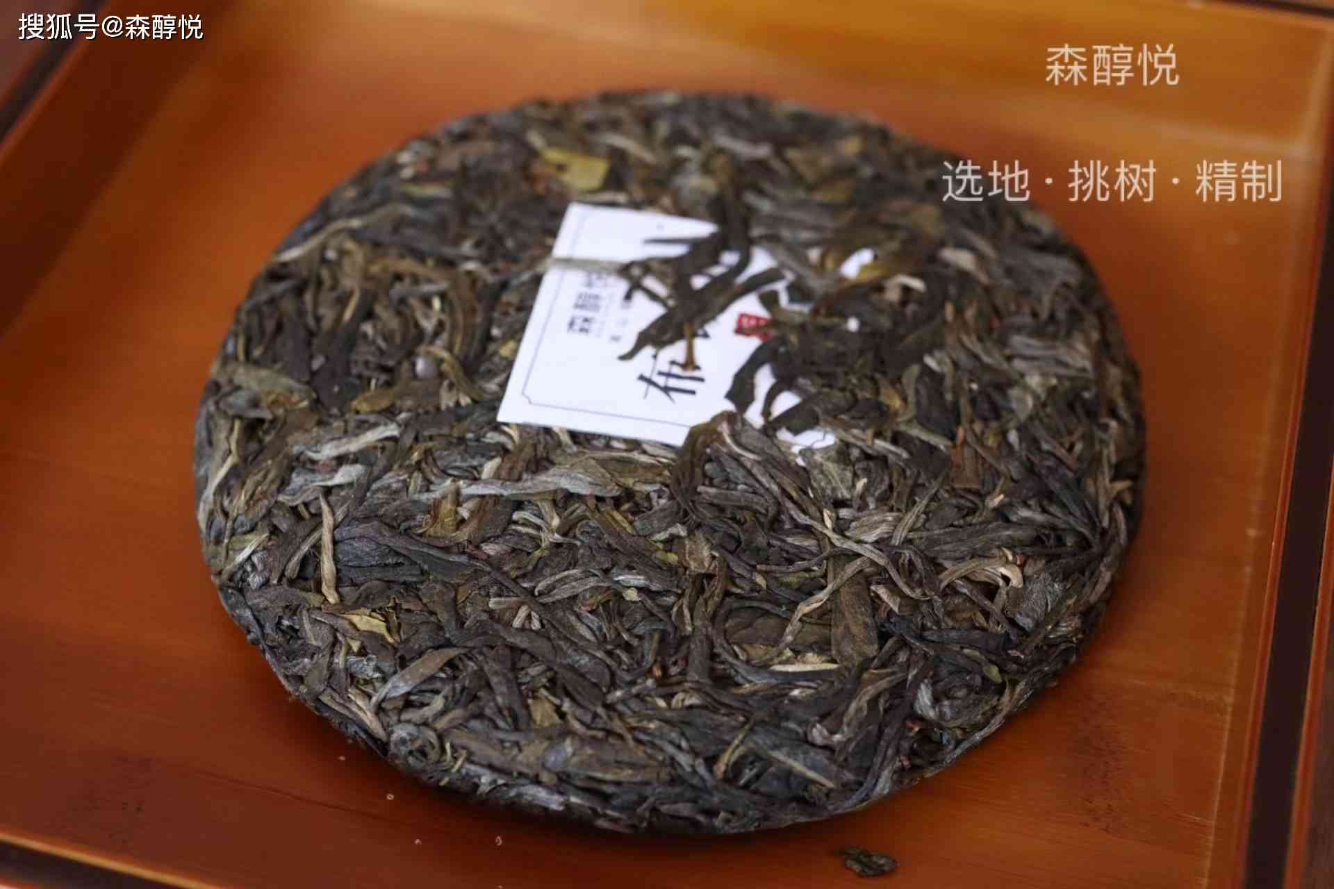 大益普洱茶易武汇总：你不可错过的优质茶叶种类