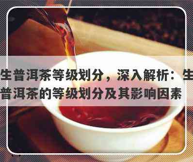 普洱茶等级解析：如何区分一级茶和其他等级茶的区别？