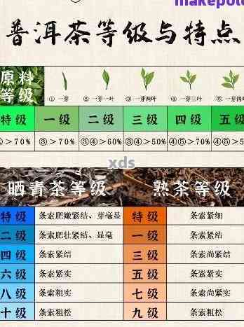 普洱茶等级一、五对比：口感与划分的深度剖析