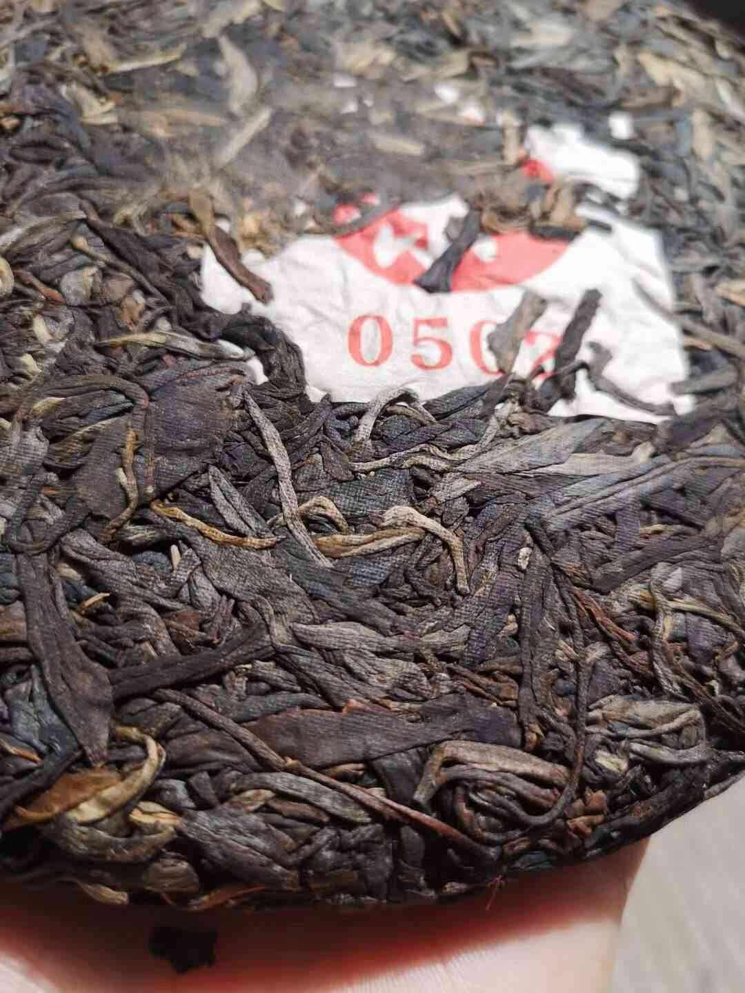 普洱茶24期