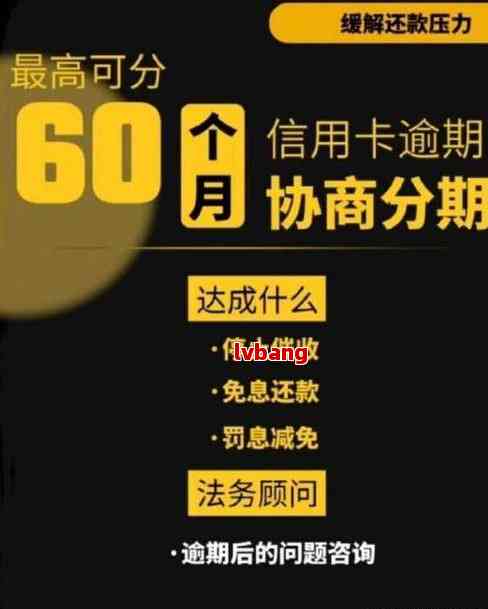 信用卡逾期的全面解析：调查内容、影响与解决策略