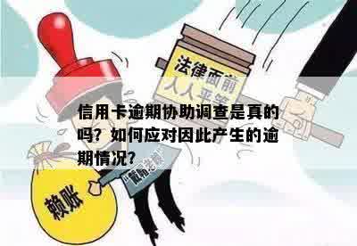 信用卡逾期后，可能会调查哪些信息？如何应对信用卡逾期的调查和处理？