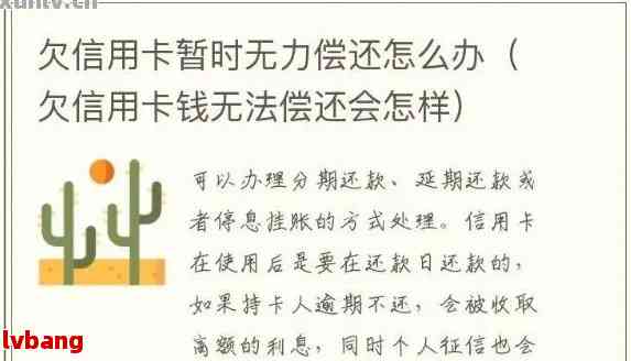 个人欠信用卡无力偿还，如何解决？