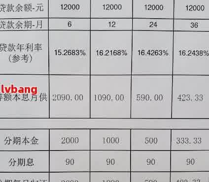 网贷借2万一年还多少