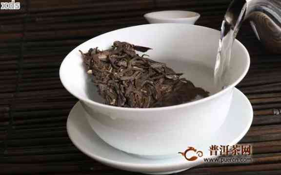 小青：掌握皮普洱茶冲泡的精艺术，让茶香四溢