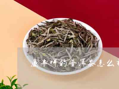 庆远祥普洱茶的产地是哪里？