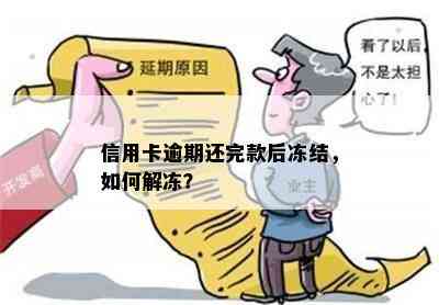 无逾期信用卡被冻结后多久可以重新申请：解冻流程与建议