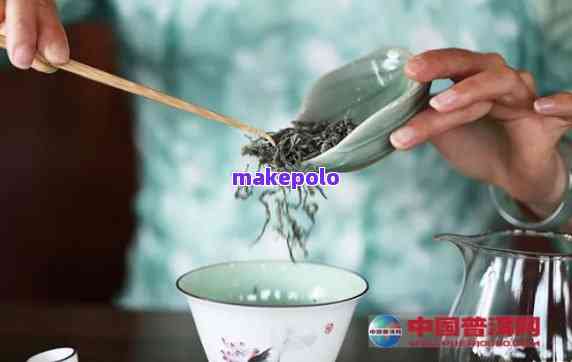 青瓷壶冲泡普洱茶茶艺表演解说洗：品茗艺术的魅力与技巧