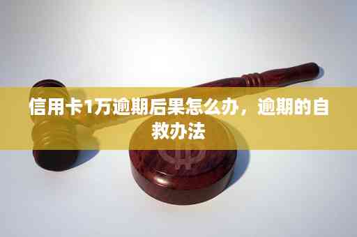 信用卡逾期后的全方位自救策略与解决方法