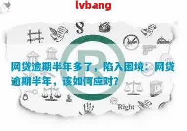 陷入40万网商贷还款困境，如何解决逾期问题？