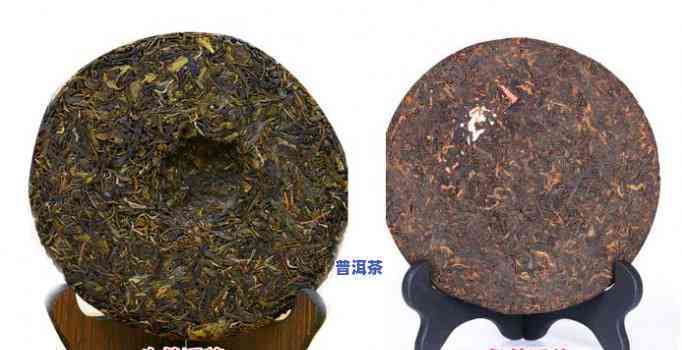 雀普洱茶：勐海大益熟茶的魅力与意义