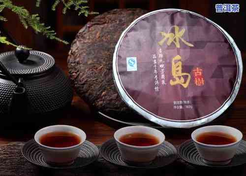 冰岛古树普洱茶：生熟之辨，品茗之道