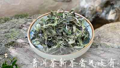 普洱茶新茶香味