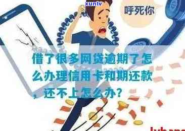 网贷信用卡逾期了咋办：解决办法及影响解读