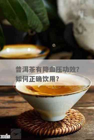 云南普洱茶有降血压功效吗？能喝吗？普洱茶是否有降血压的功效？