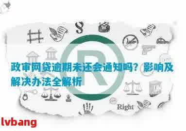 网贷30万逾期：政审过程中的潜在影响与解决途径